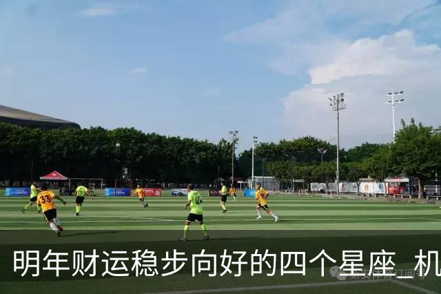明年财运稳步向好的四个星座 机遇增多